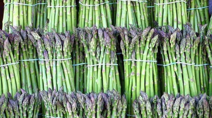 what-is-asparagus