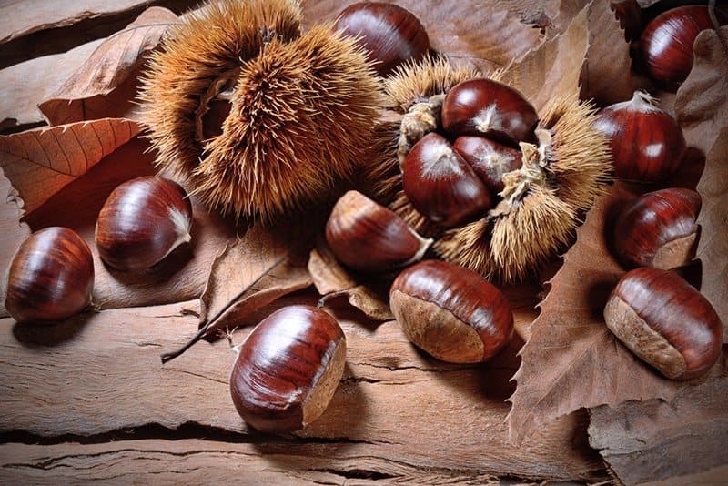best-ways-to-eat-chestnuts