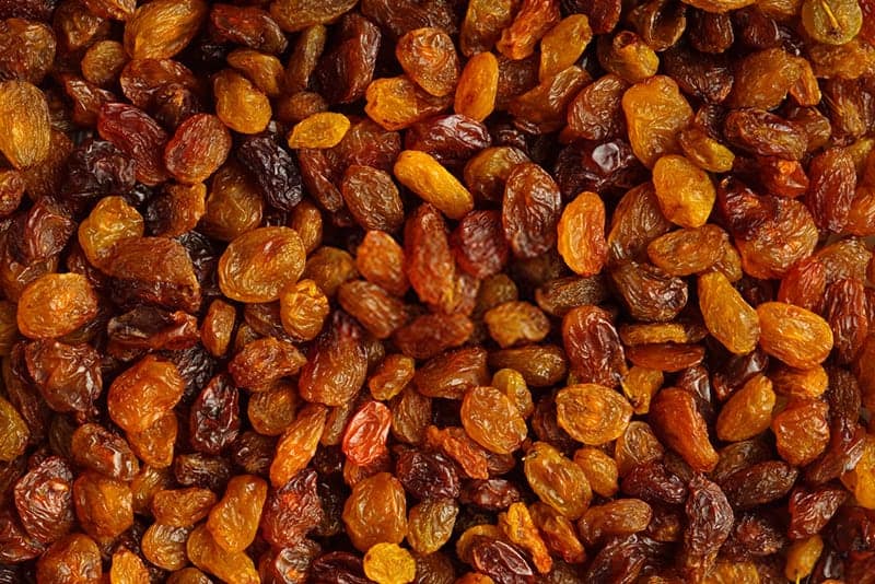 how-to-tell-if-raisins-are-bad