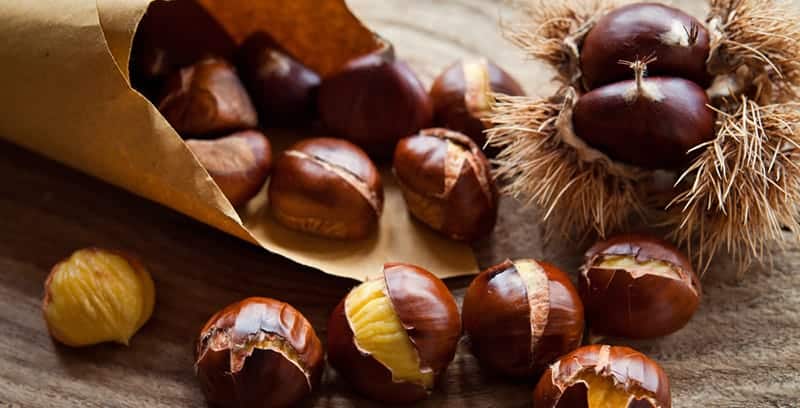 what-are-chestnuts