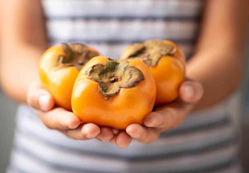 what-are-persimmons