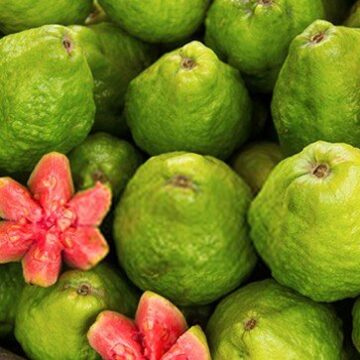 what-does-guava-taste-like