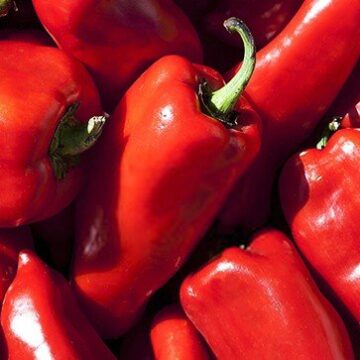 what-does-paprika-taste-like