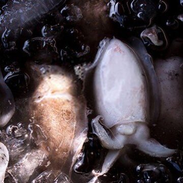 what-does-squid-ink-taste-like