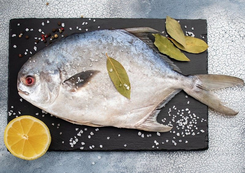what-is-pompano-fish