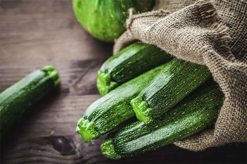 what-is-zucchini what-is-zucchini