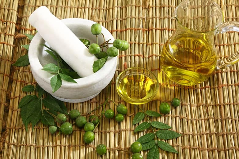 How Long Does Neem Oil Last? Does Neem Oil Go Bad? | EatDelights