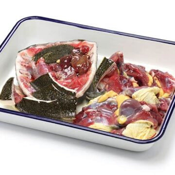 does turtle taste good