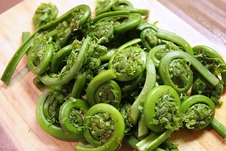 benefits-of-eating-fiddleheads