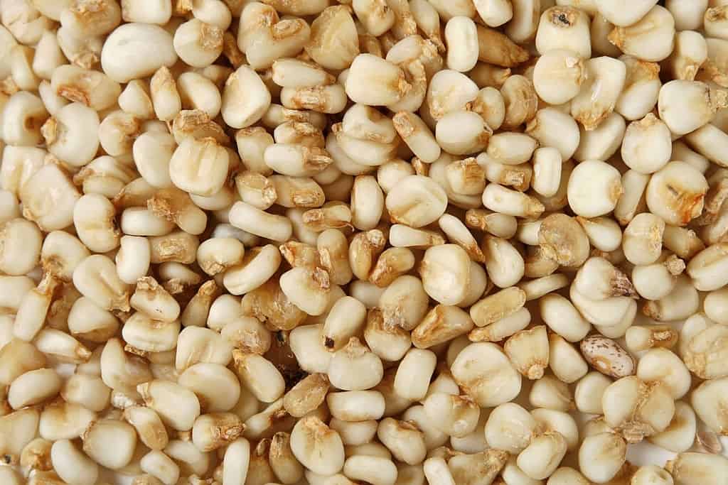 how-to-cook-hominy