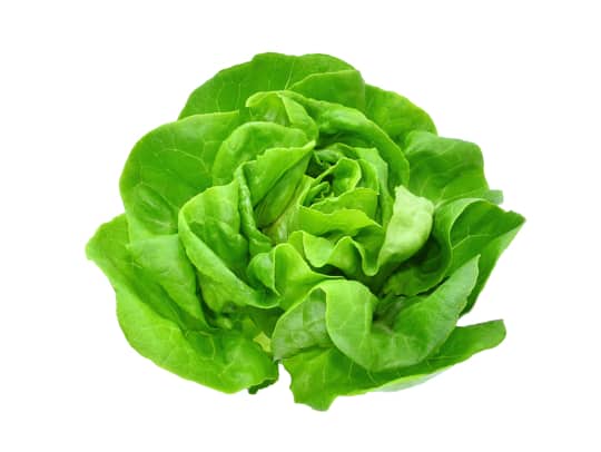 buttered lettuce
