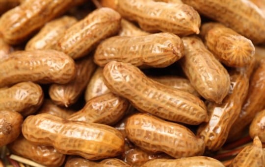 how to store boiled peanuts