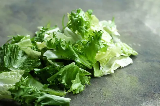 mixed greens salad