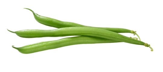 what are green beans