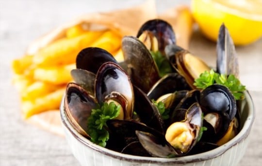what are mussels