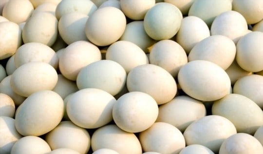 baking with duck eggs vs chicken eggs