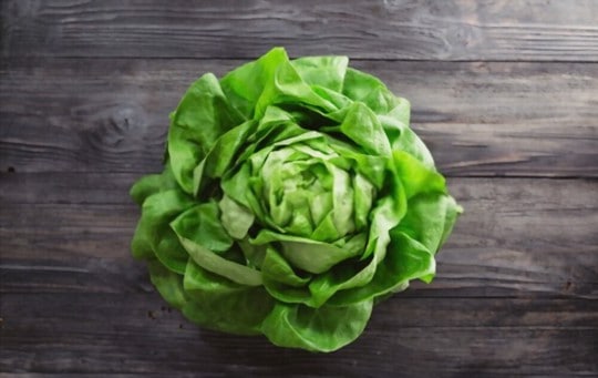 can you freeze lettuce