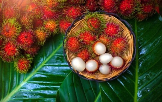 does rambutan taste like lychee