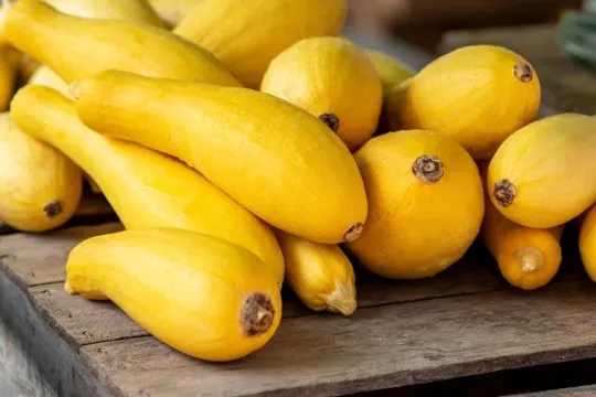 How Long Does Yellow Squash Last? Does Yellow Squash Go Bad?