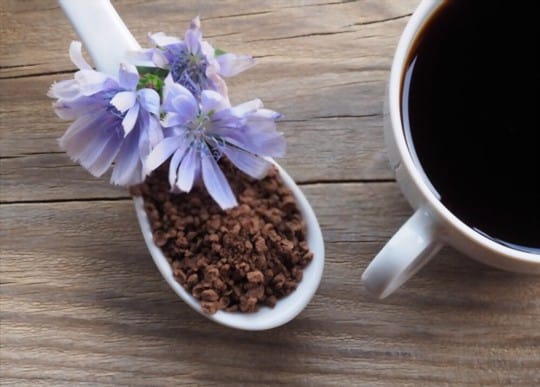 health and nutritional benefits of chicory