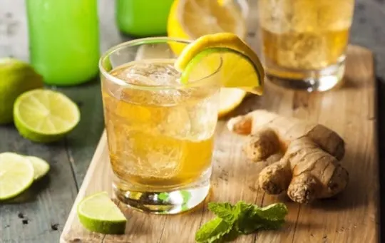 health and nutritional benefits of ginger ale