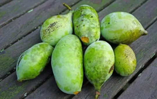 health and nutritional benefits of pawpaw