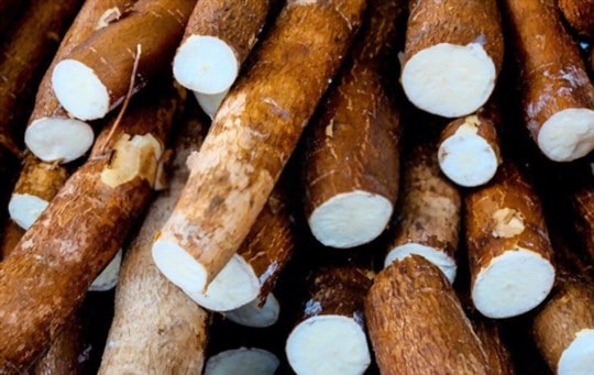 health and nutritional benefits of yuca