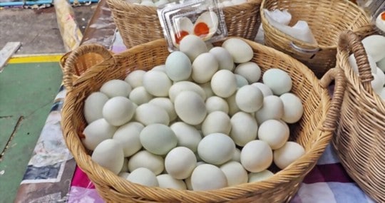 how do duck eggs taste compared to chicken eggs