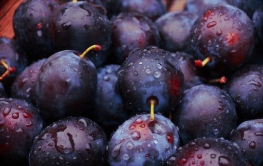 how to store plums