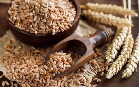 is farro better than quinoa