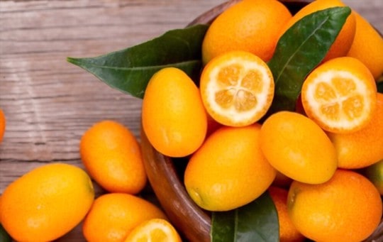 loquat vs kumquat