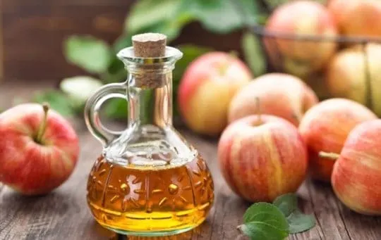 What Does Apple Cider Vinegar Taste Like? Does Apple Cider Vinegar Taste Good?