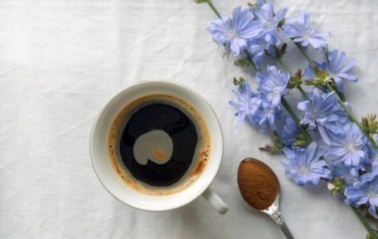 what does chicory coffee taste like