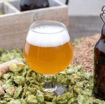 what does ginger beer taste like