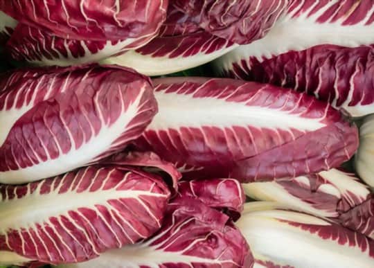 what does red chicory taste like