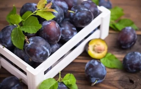 what happens if you eat a bad plum