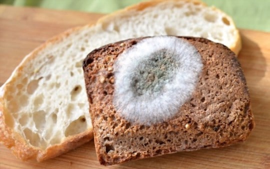 what-does-moldy-bread-taste-like-healing-picks