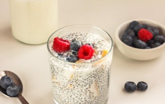 where to buy chia pudding