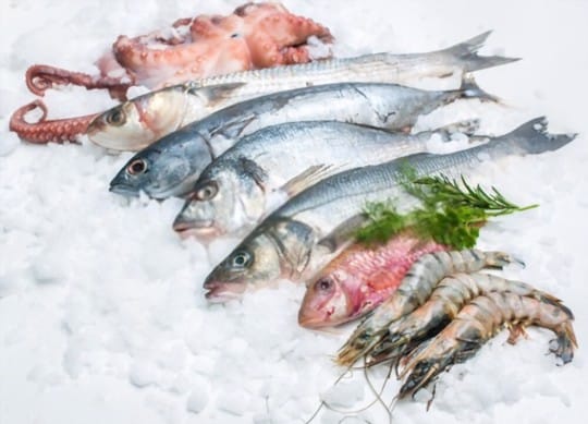 how long does cooked fish last unrefrigerated how long does cooked fish last unrefrigerated