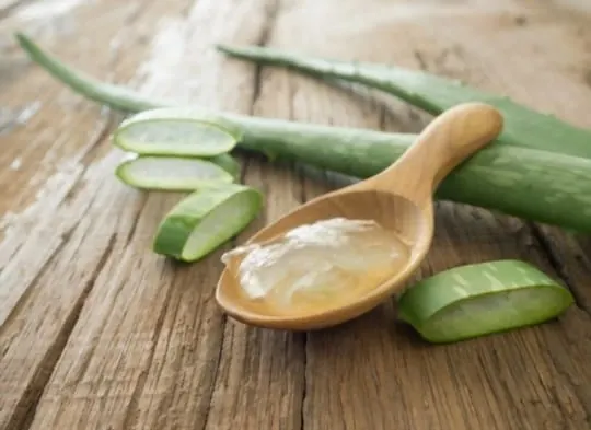 how-long-does-aloe-vera-gel-last-does-aloe-vera-gel-go-bad-eatdelights