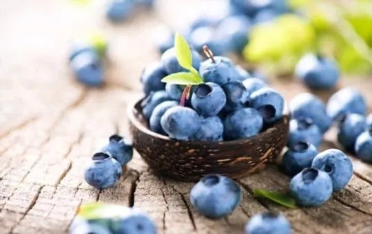 Can You Freeze Blueberries? Easy Guide to Freeze Blueberries at Home