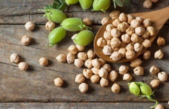 Can You Freeze Chickpeas? Easy Guide to Freeze Chickpeas at Home?