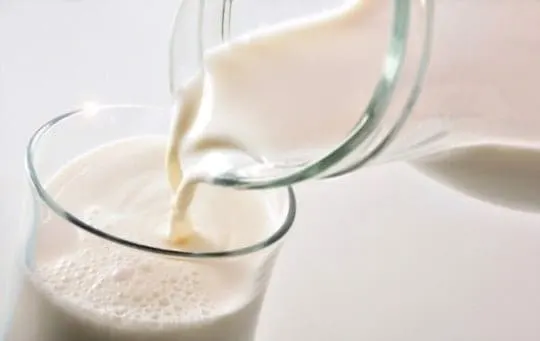 Can You Freeze Lactose-Free Milk? Easy Guide to Freeze Lactose-Free Milk at Home