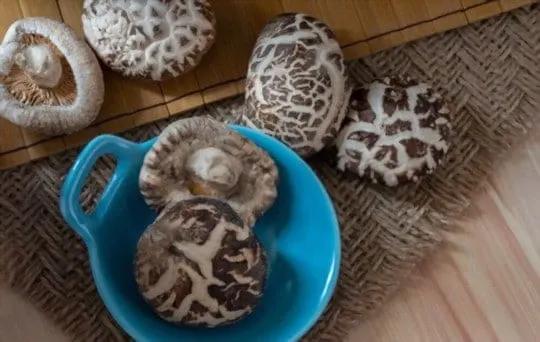 How Long Do Dried Mushrooms Last? Do Dried Mushrooms Go Bad?