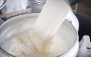 does raw milk go bad