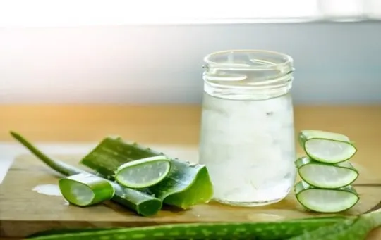 how-long-does-aloe-vera-gel-last-does-aloe-vera-gel-go-bad-eatdelights