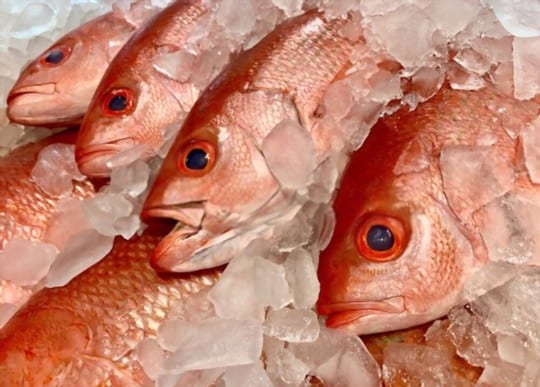 What Does Red Snapper Taste Like Does Red Snapper Taste Good Eat Delights