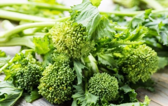 how to choose broccoli rabe