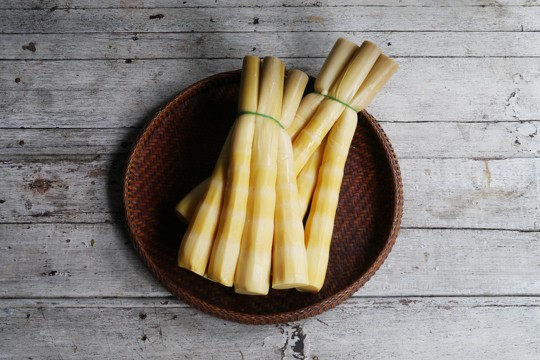 how to store bamboo shoots