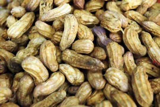 how do you know if boiled peanuts are bad 